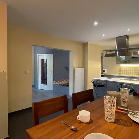 T3 Proche Du Avec Terrasse, Jardin, Et Stationnements Prives - - Fr-1-555-91 Appartement Aix-les-Bains